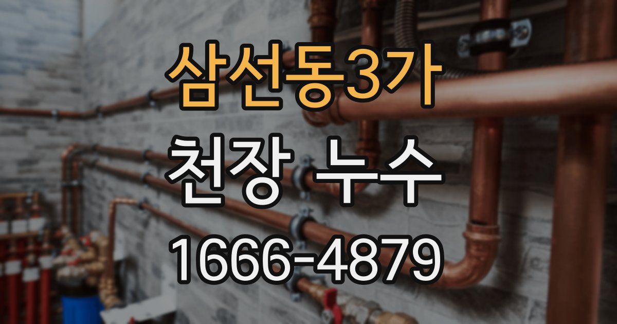 삼선동3가 천장 누수