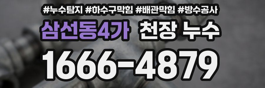삼선동4가 천장 누수