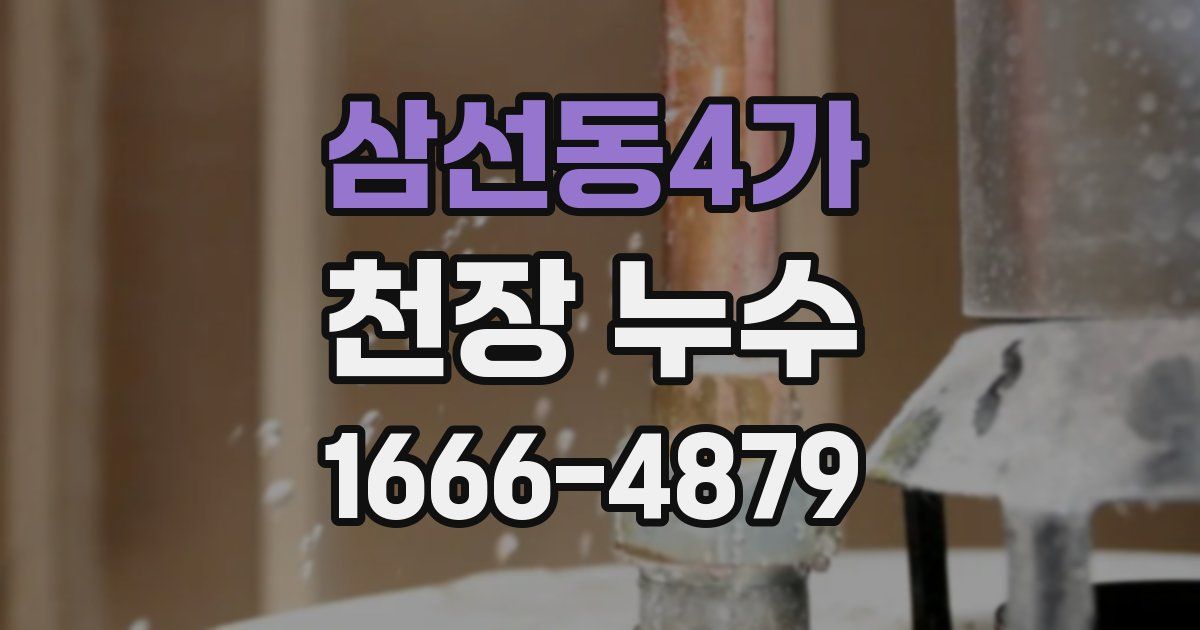 삼선동4가 천장 누수