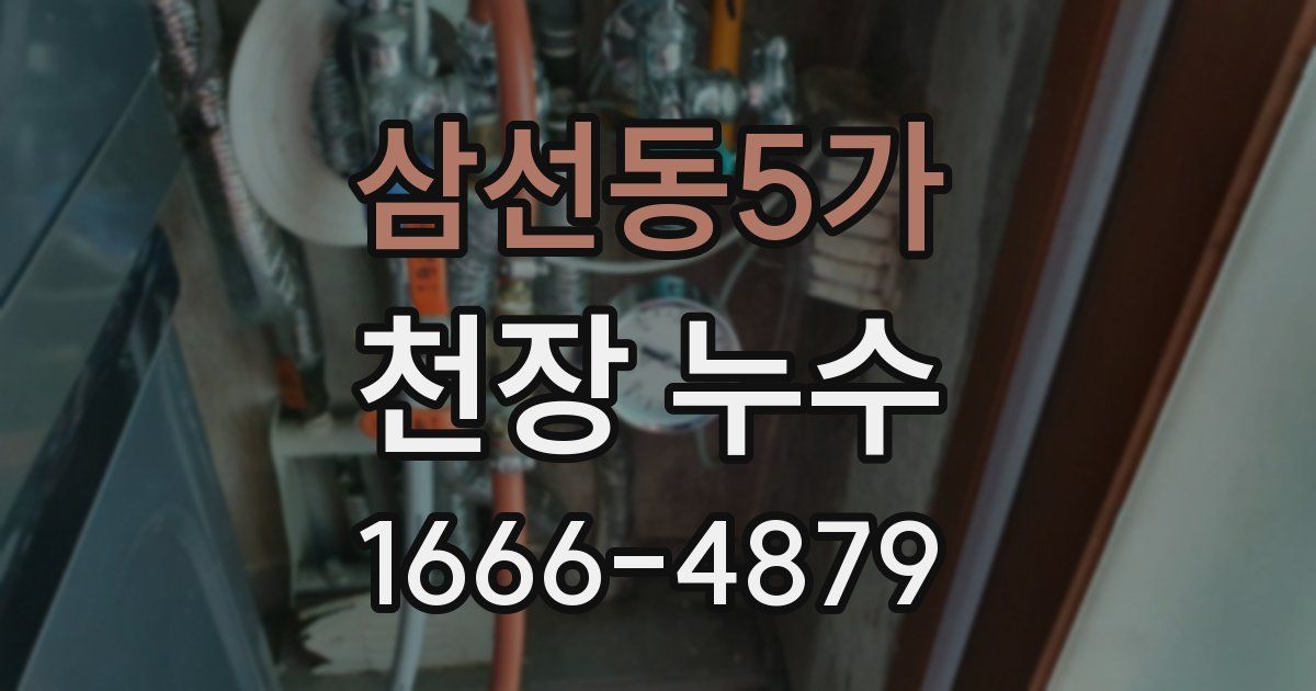 삼선동5가 천장 누수