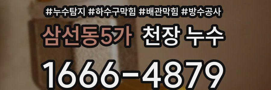 삼선동5가 천장 누수