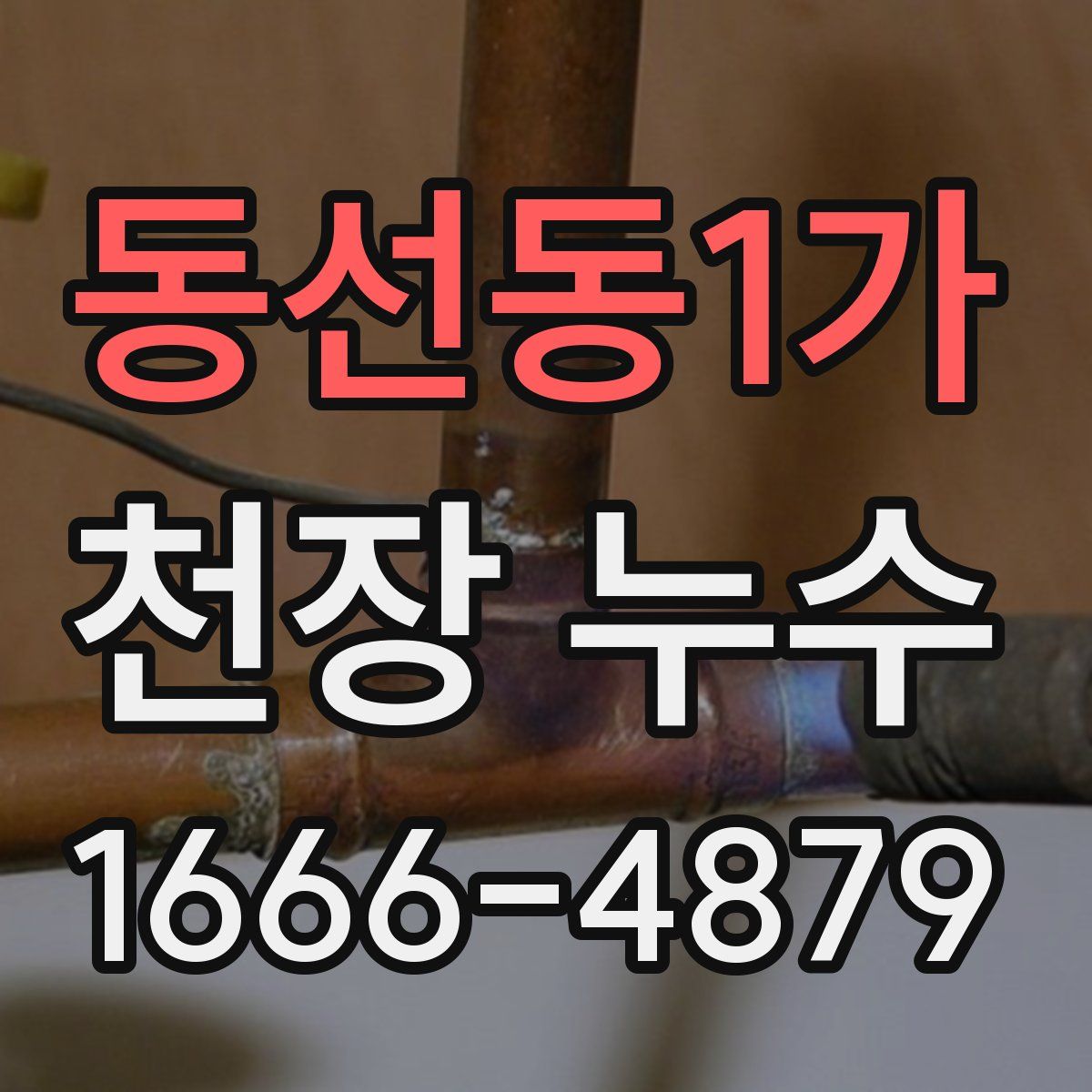 동선동1가 천장 누수