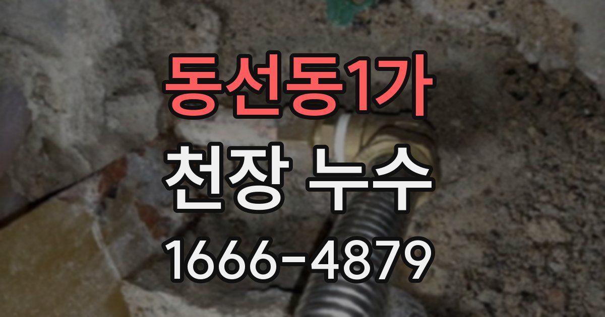 동선동1가 천장 누수