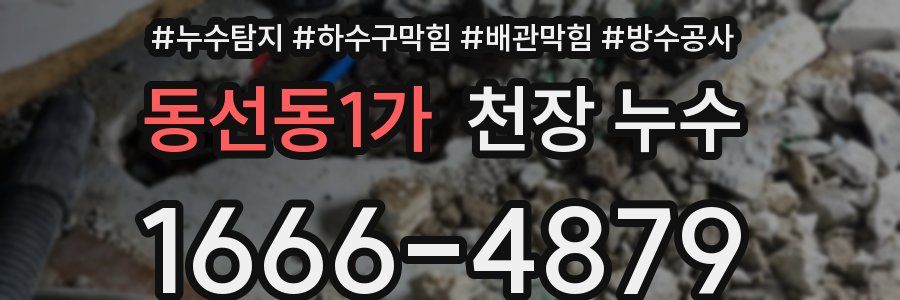 동선동1가 천장 누수