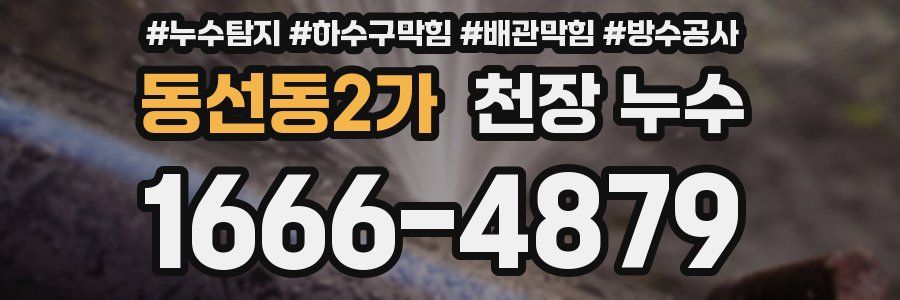 동선동2가 천장 누수