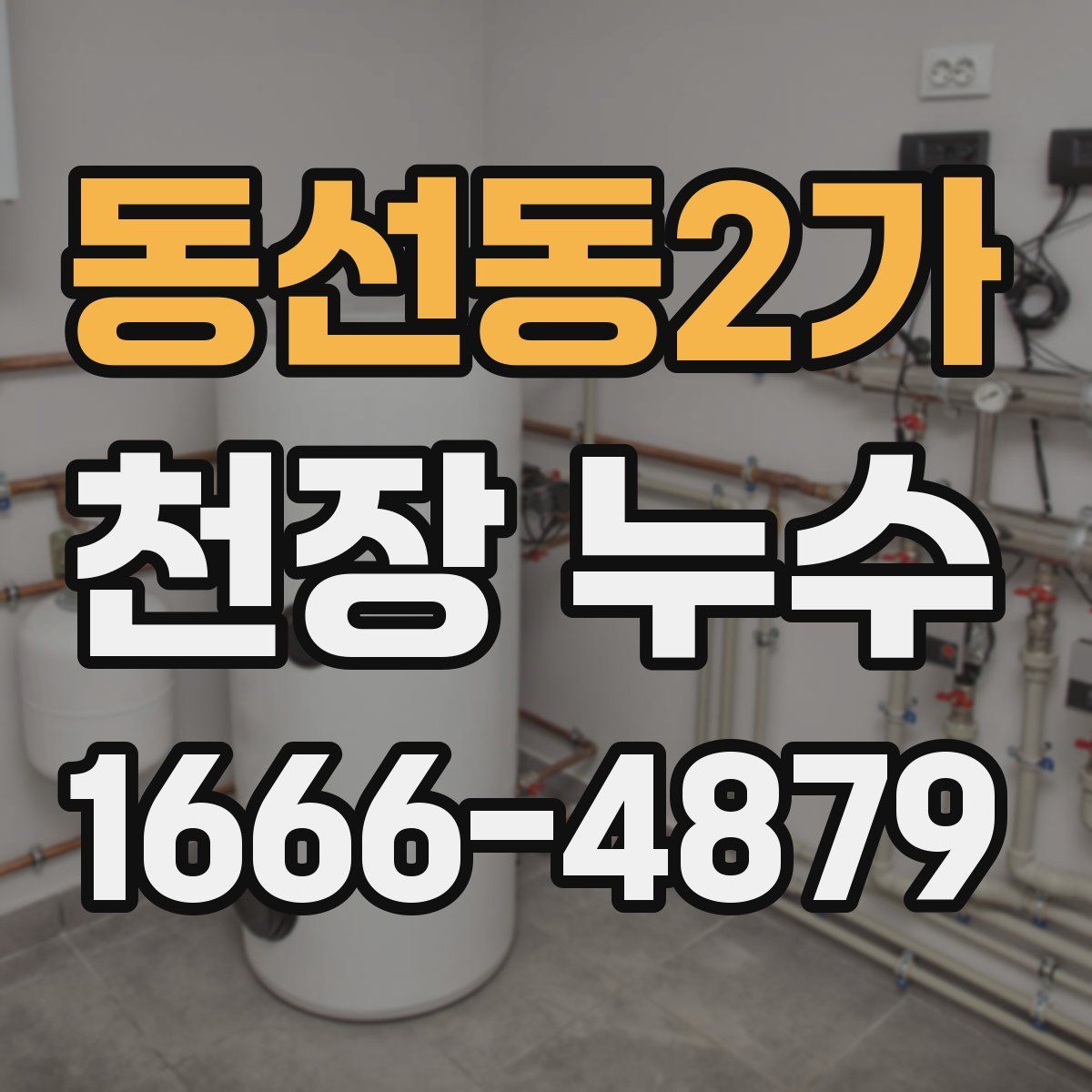 동선동2가 천장 누수