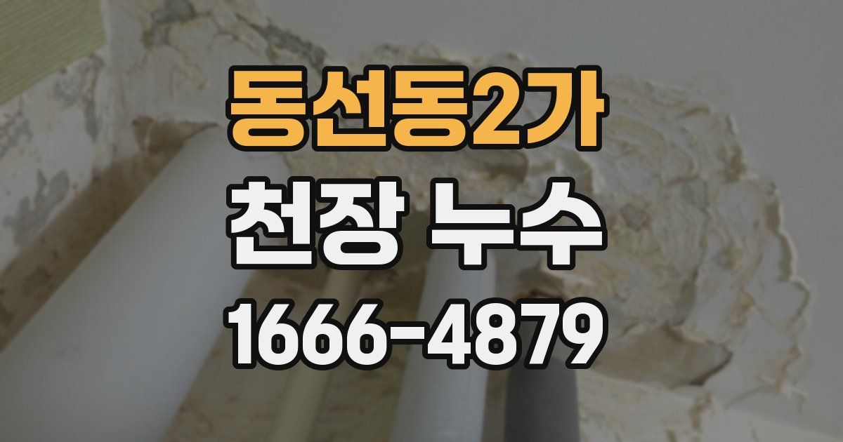 동선동2가 천장 누수