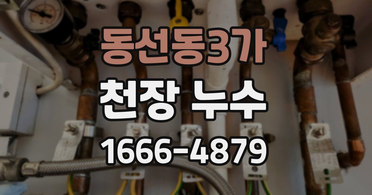 동선동3가 천장 누수