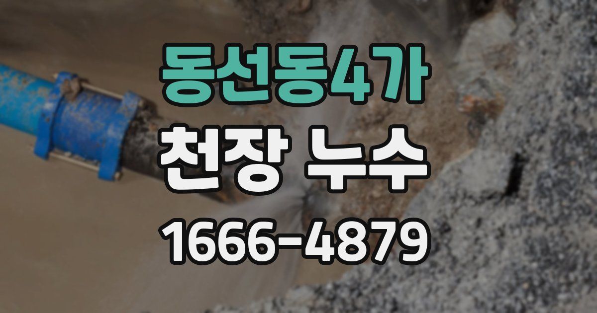 동선동4가 천장 누수