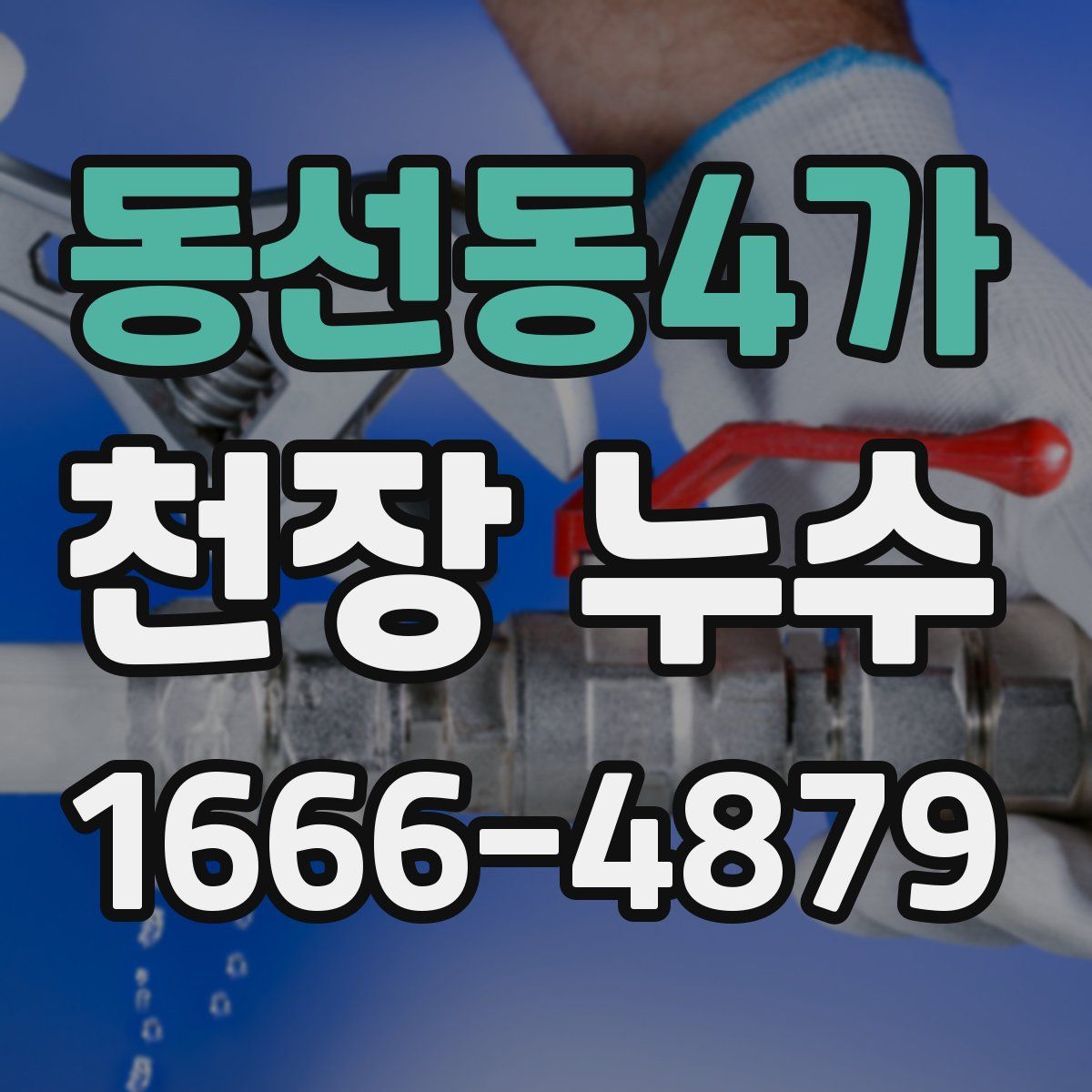 동선동4가 천장 누수
