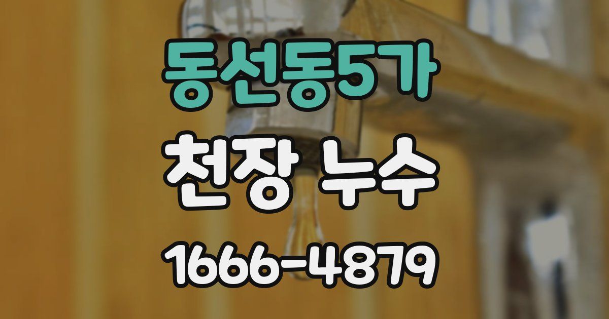 동선동5가 천장 누수