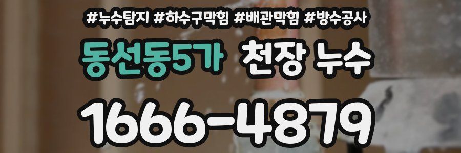동선동5가 천장 누수