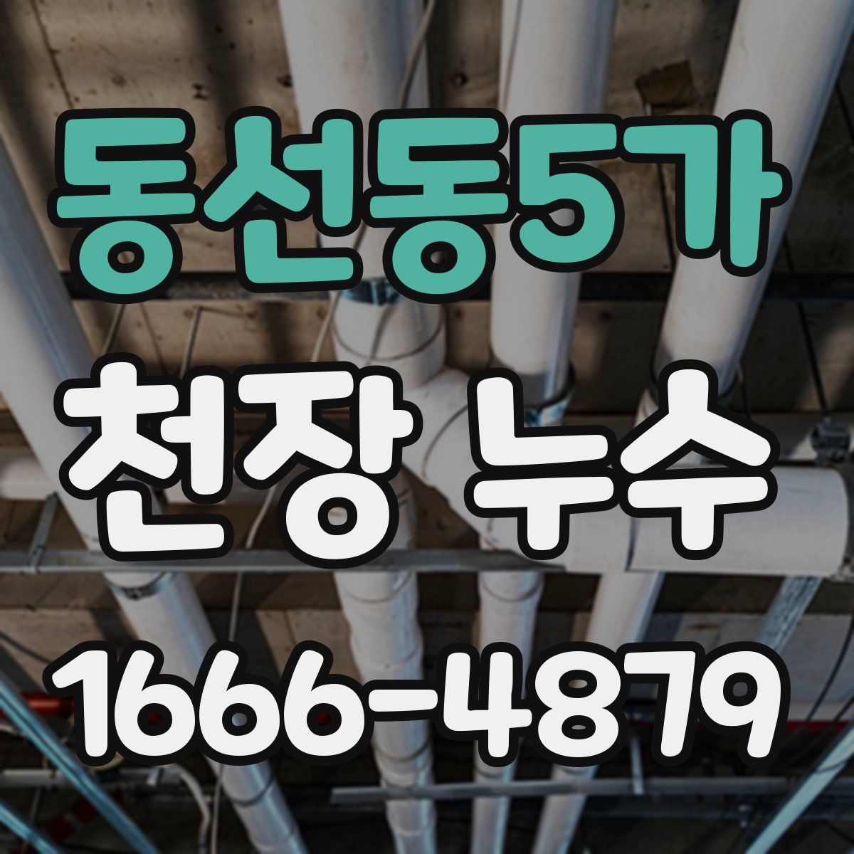 동선동5가 천장 누수
