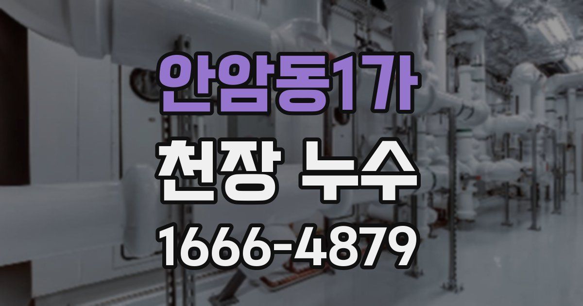안암동1가 천장 누수