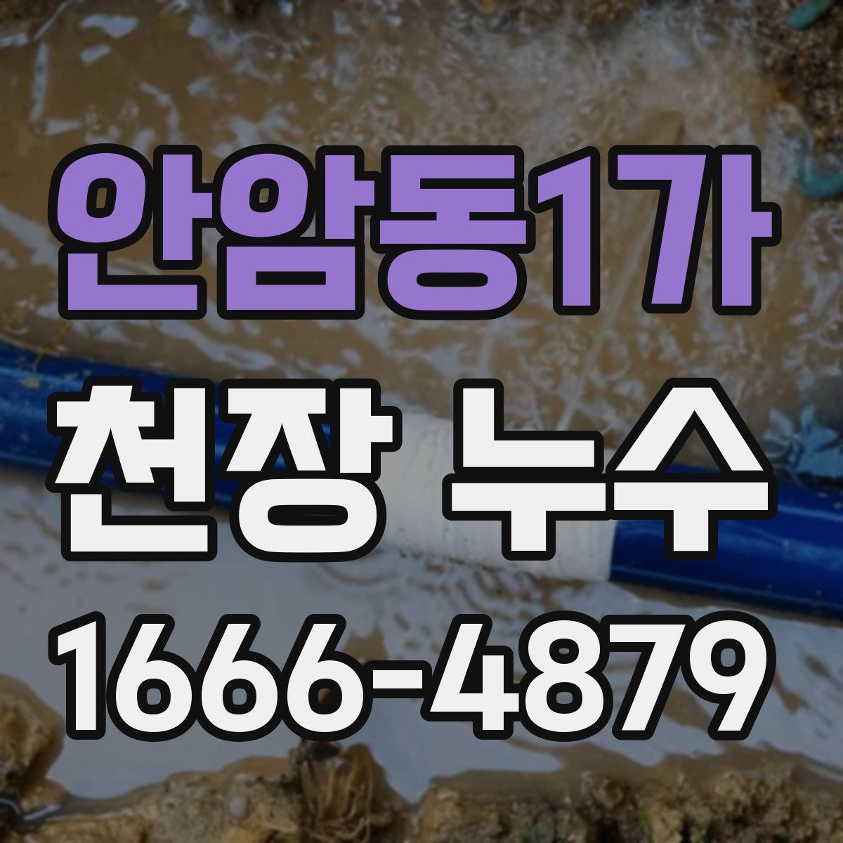 안암동1가 천장 누수