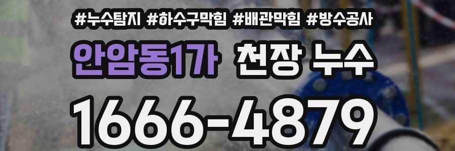 안암동1가 천장 누수