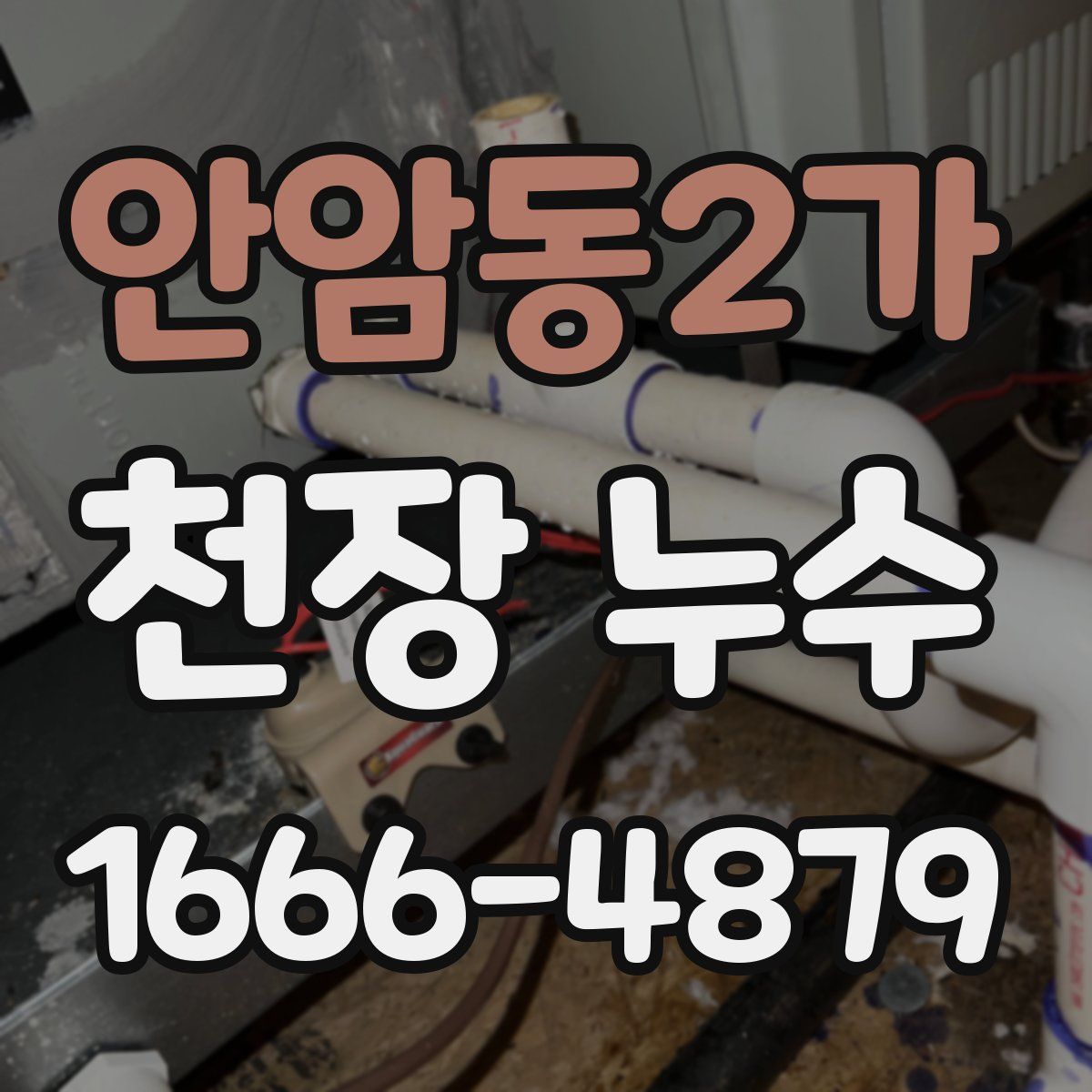 안암동2가 천장 누수