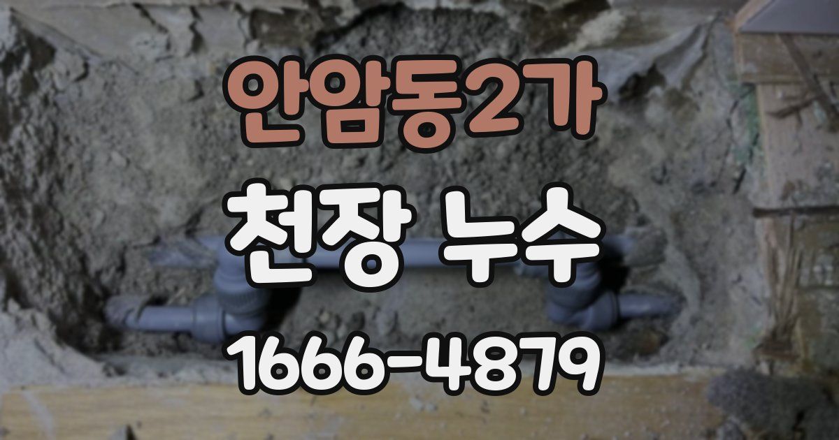 안암동2가 천장 누수