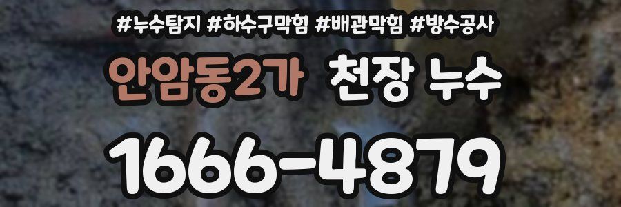 안암동2가 천장 누수