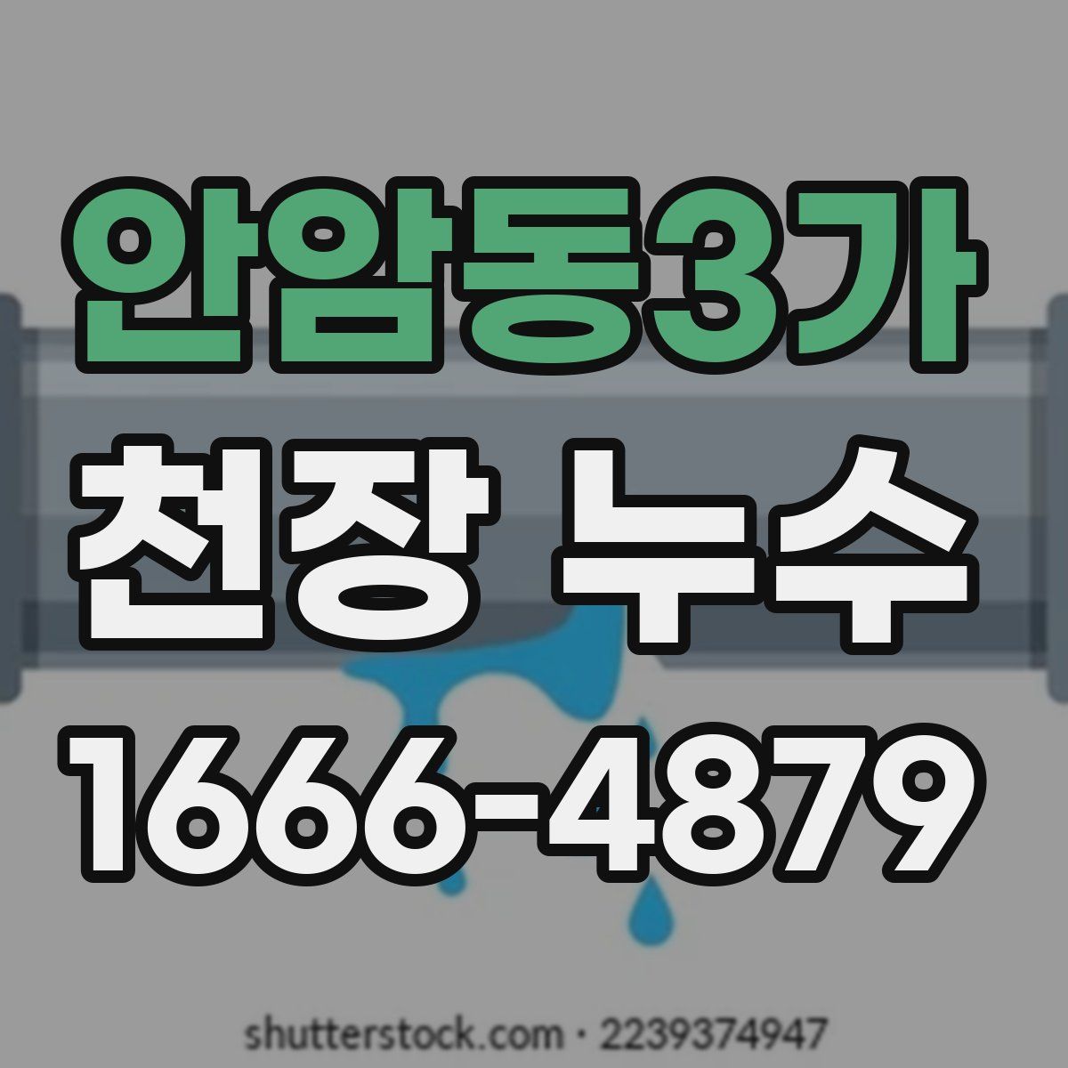 안암동3가 천장 누수