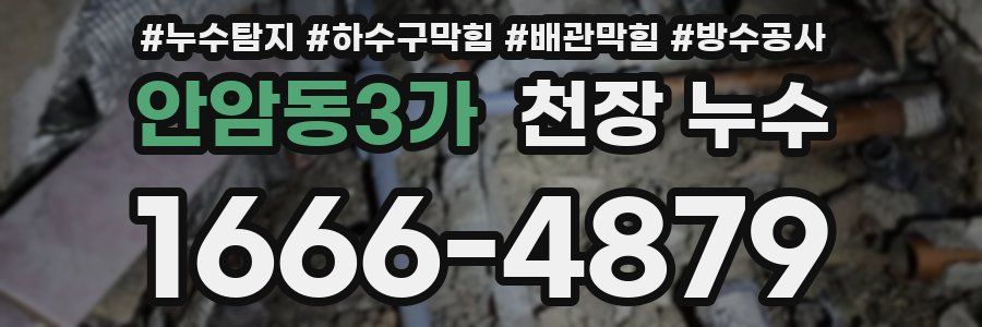 안암동3가 천장 누수