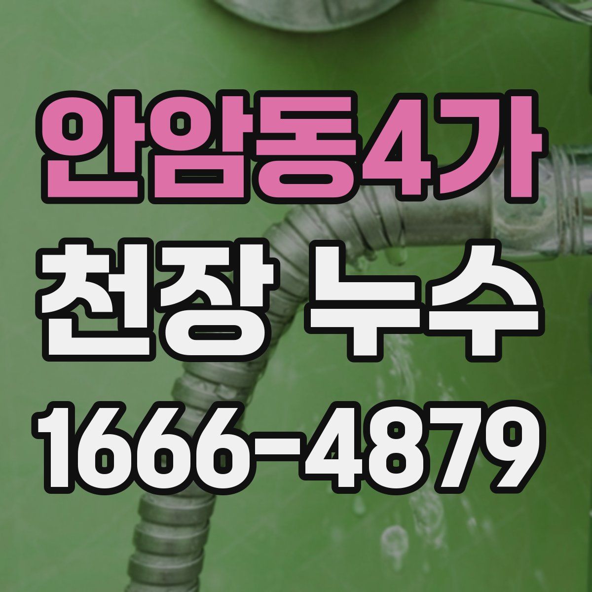 안암동4가 천장 누수