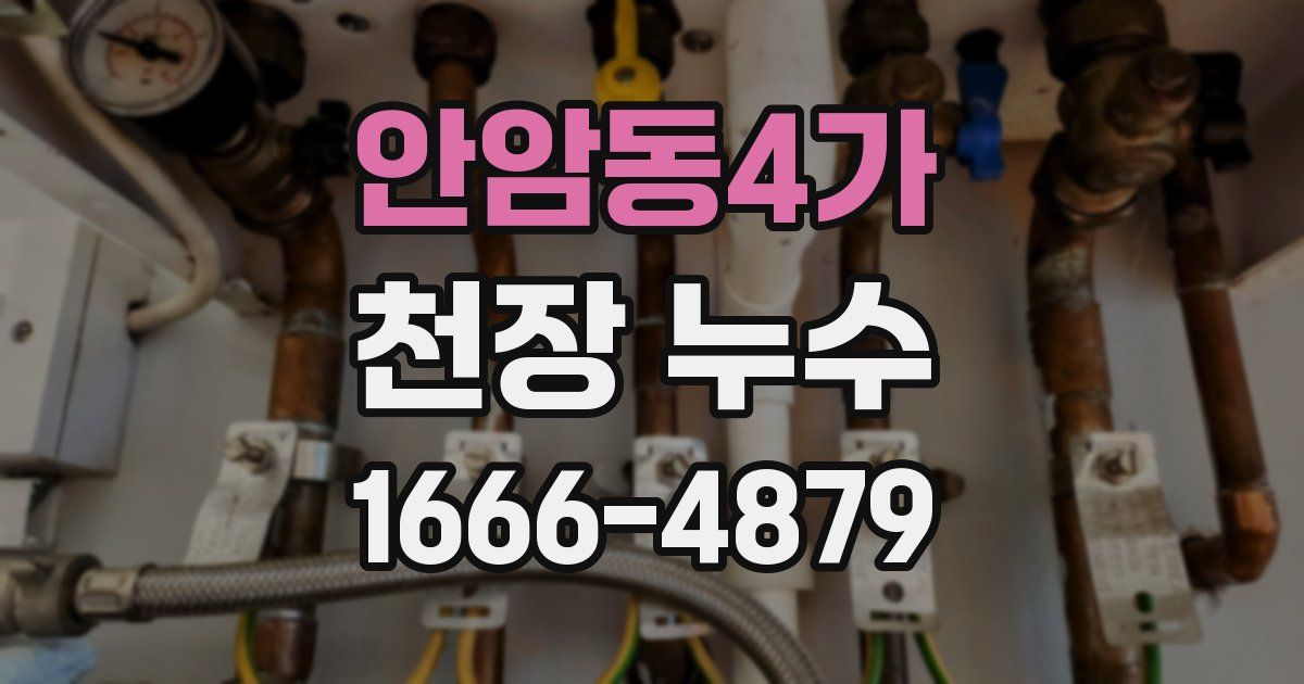 안암동4가 천장 누수