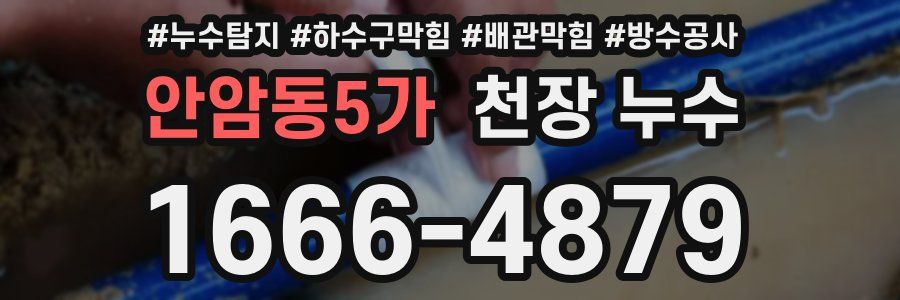 안암동5가 천장 누수