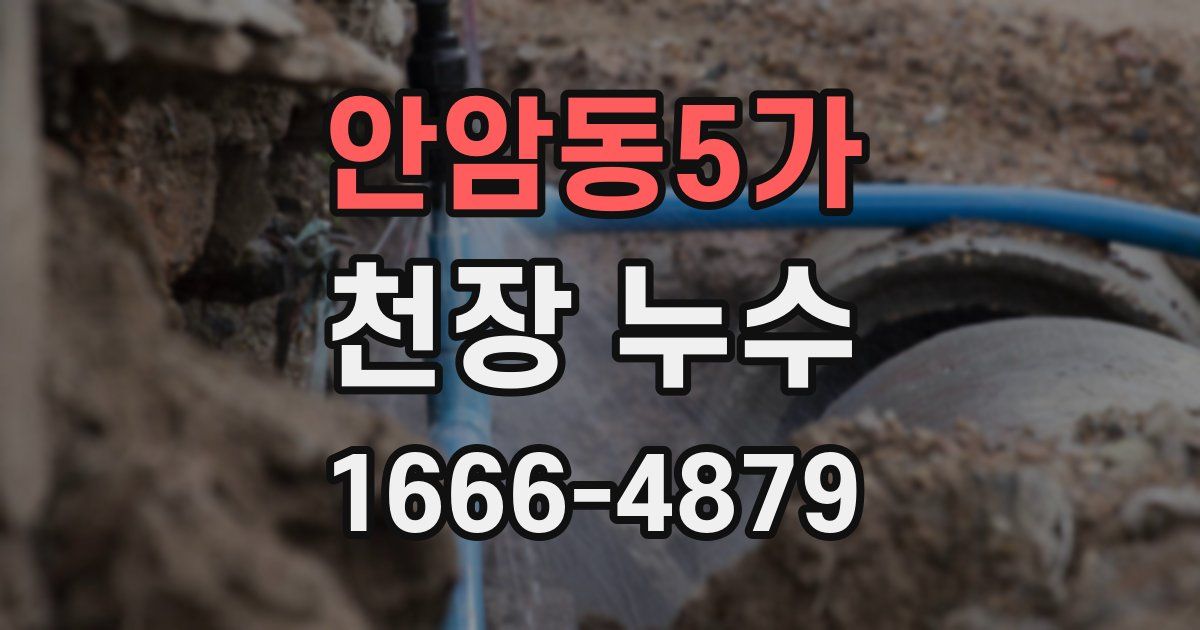 안암동5가 천장 누수