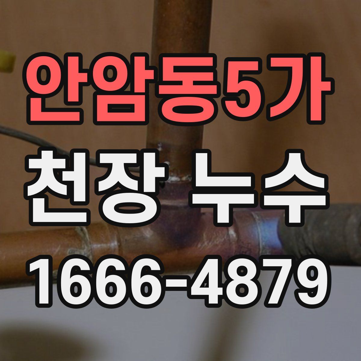 안암동5가 천장 누수
