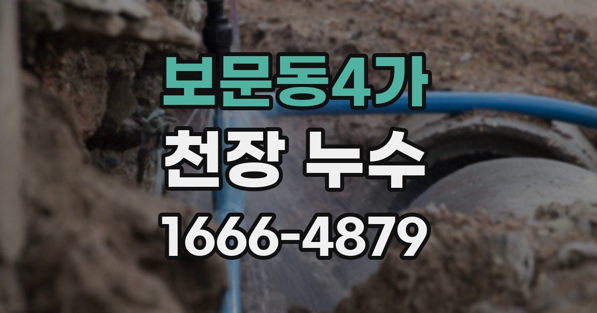 보문동4가 천장 누수
