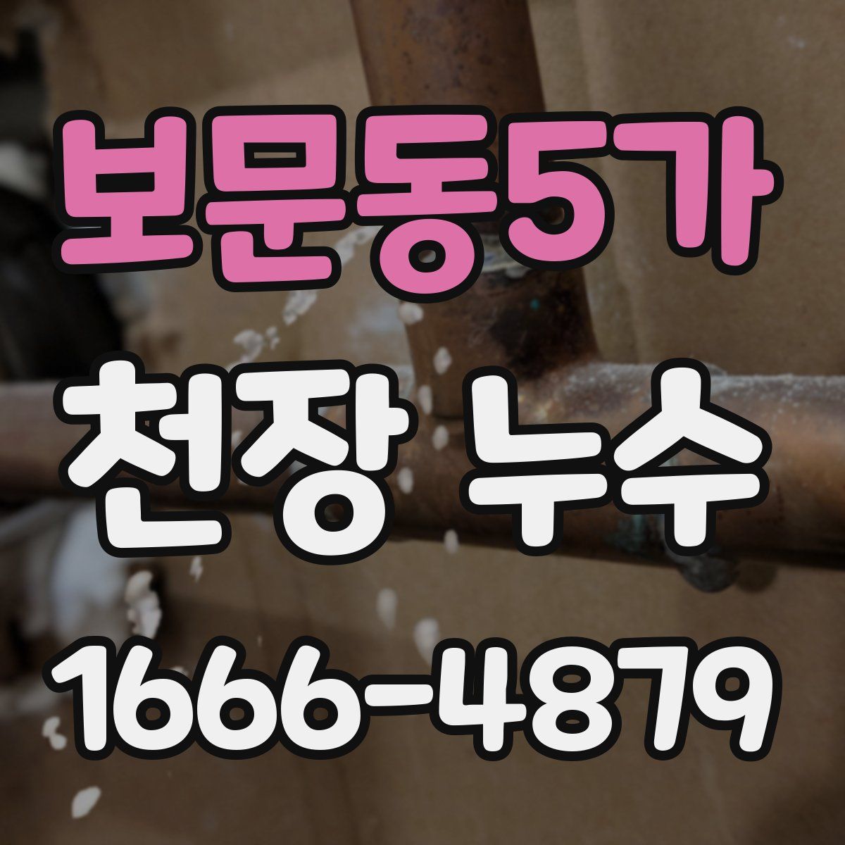 보문동5가 천장 누수