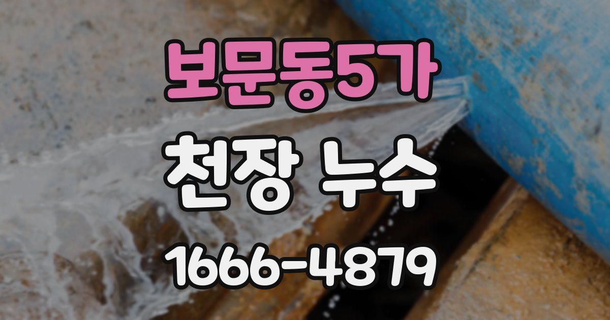 보문동5가 천장 누수