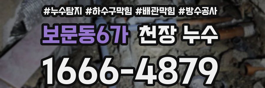 보문동6가 천장 누수
