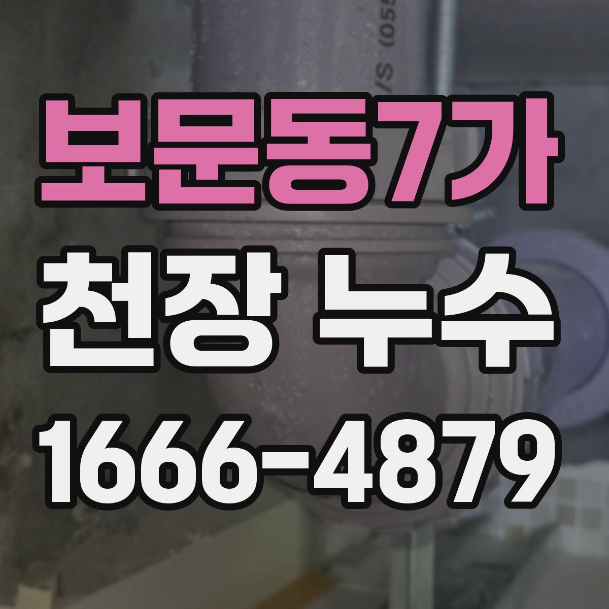 보문동7가 천장 누수
