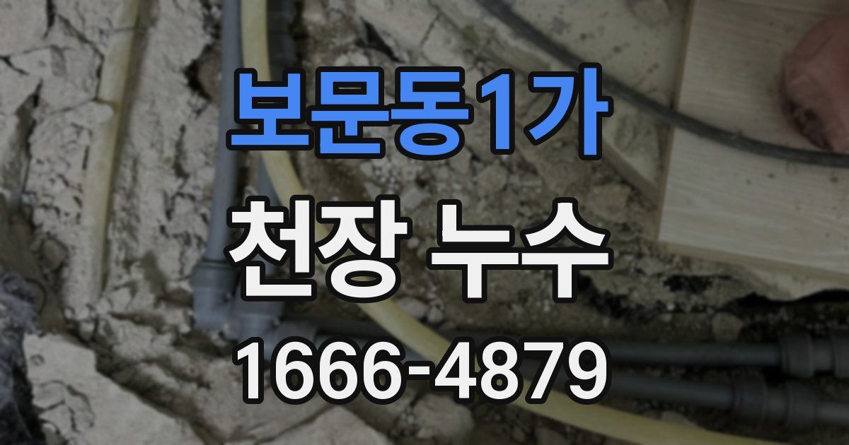 보문동1가 천장 누수