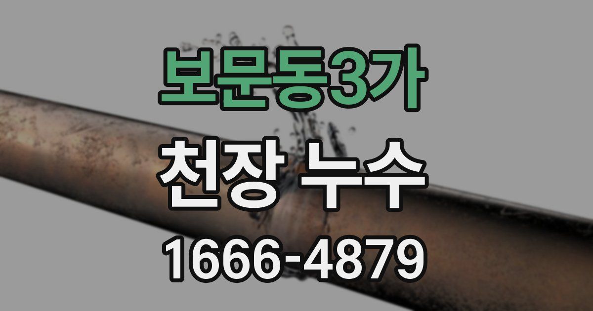 보문동3가 천장 누수
