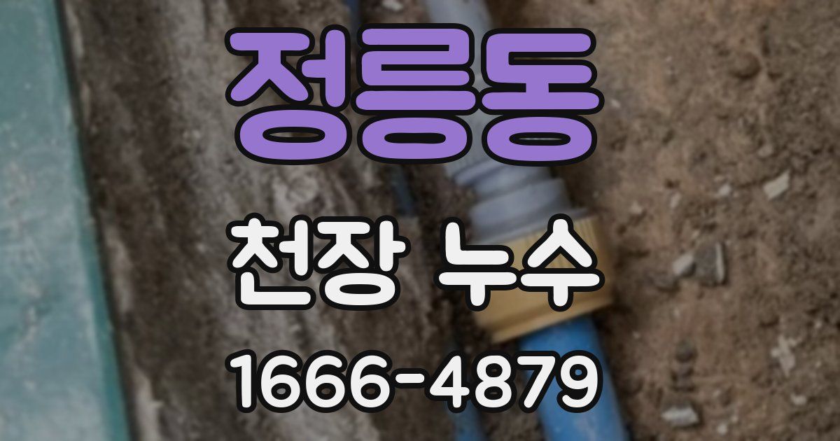 정릉동 천장 누수