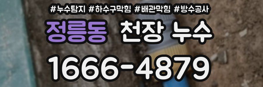 정릉동 천장 누수