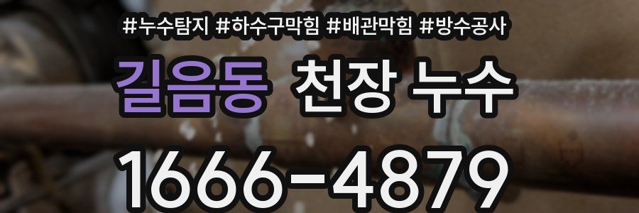 길음동 천장 누수