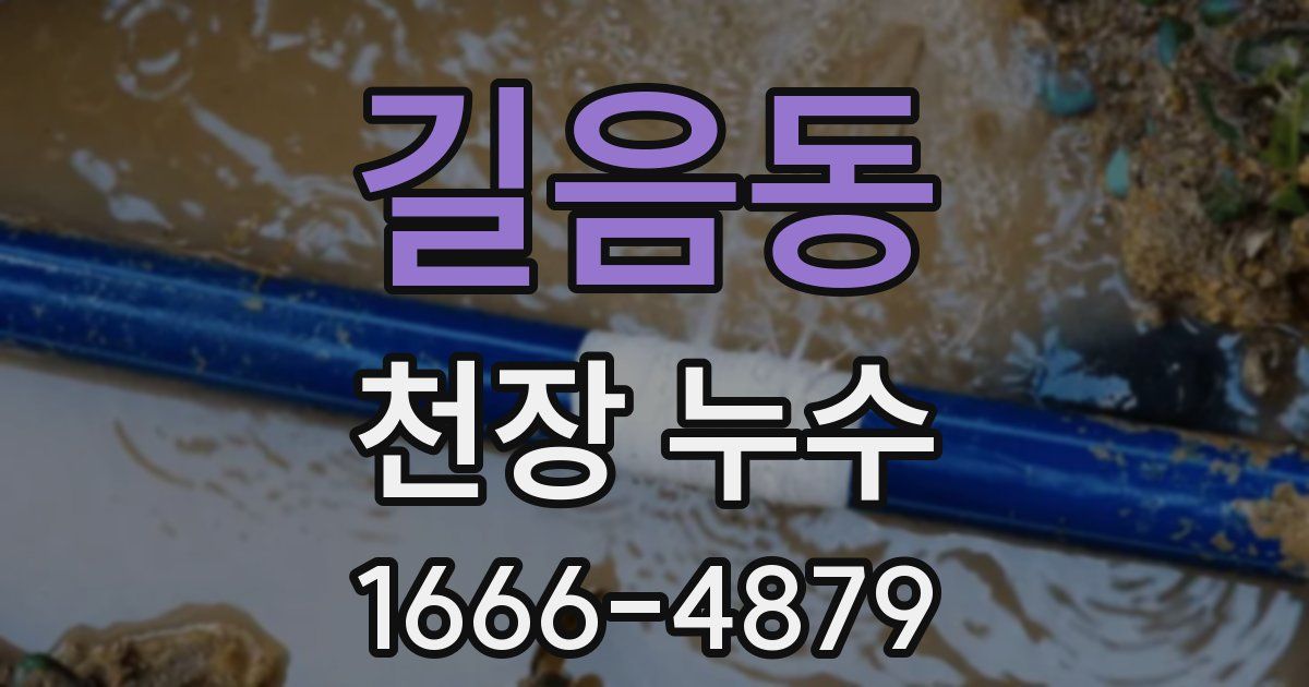 길음동 천장 누수