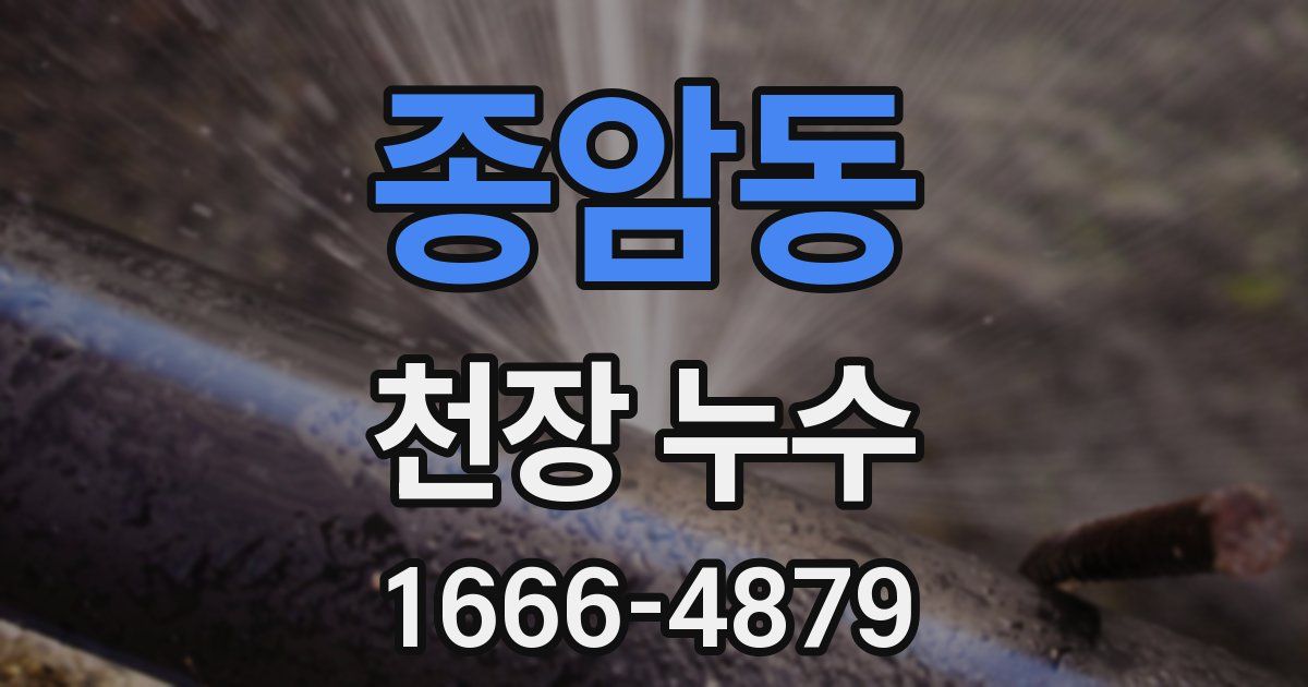 종암동 천장 누수