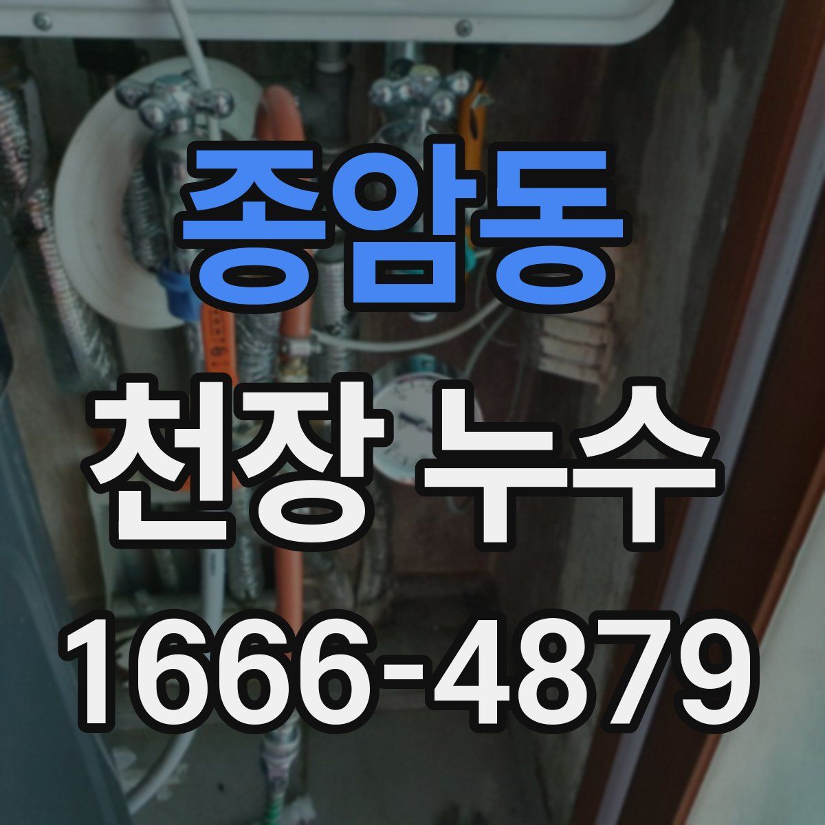 종암동 천장 누수