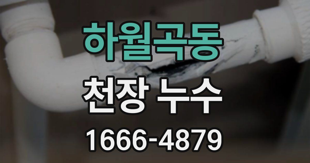 하월곡동 천장 누수