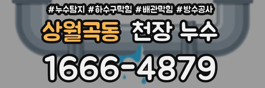 상월곡동 천장 누수