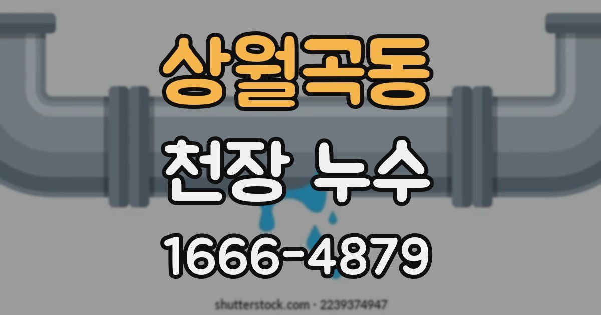 상월곡동 천장 누수