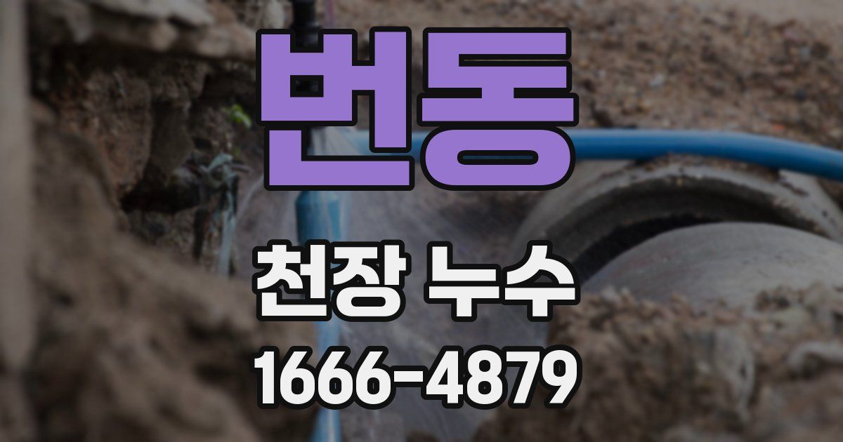 번동 천장 누수