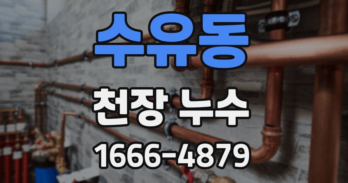 수유동 천장 누수