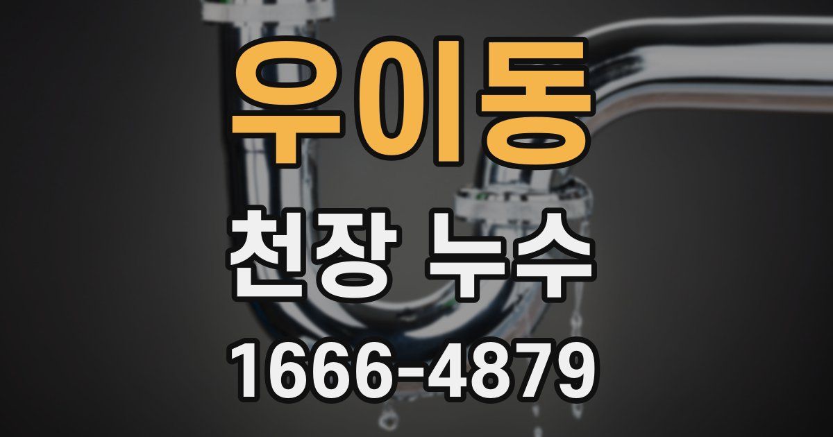 우이동 천장 누수