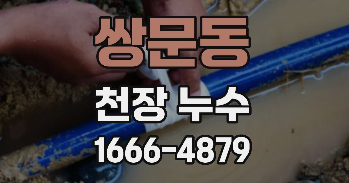 쌍문동 천장 누수